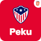 Peku – Political HTML Template