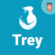 Trey – Sanitizing and Cleaning HTML Template